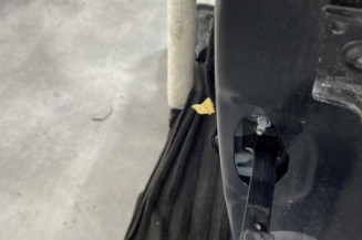 Porte avant gauche PEUGEOT 208 1