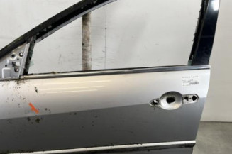 Porte avant gauche RENAULT LAGUNA 3 Photo n°1