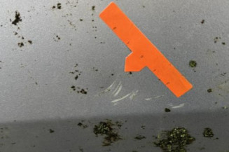 Porte avant gauche RENAULT LAGUNA 3