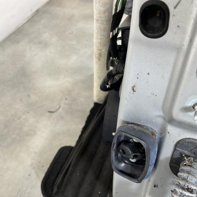 Porte avant gauche RENAULT LAGUNA 3 Photo n°3