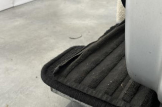 Porte avant gauche RENAULT LAGUNA 3