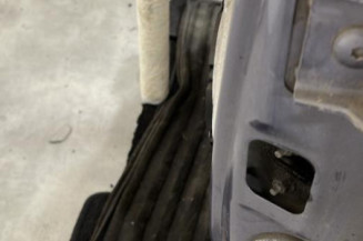 Porte avant gauche CITROEN C3 1