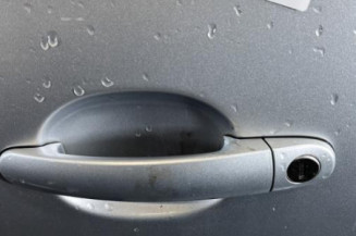 Porte avant gauche VOLKSWAGEN POLO 5