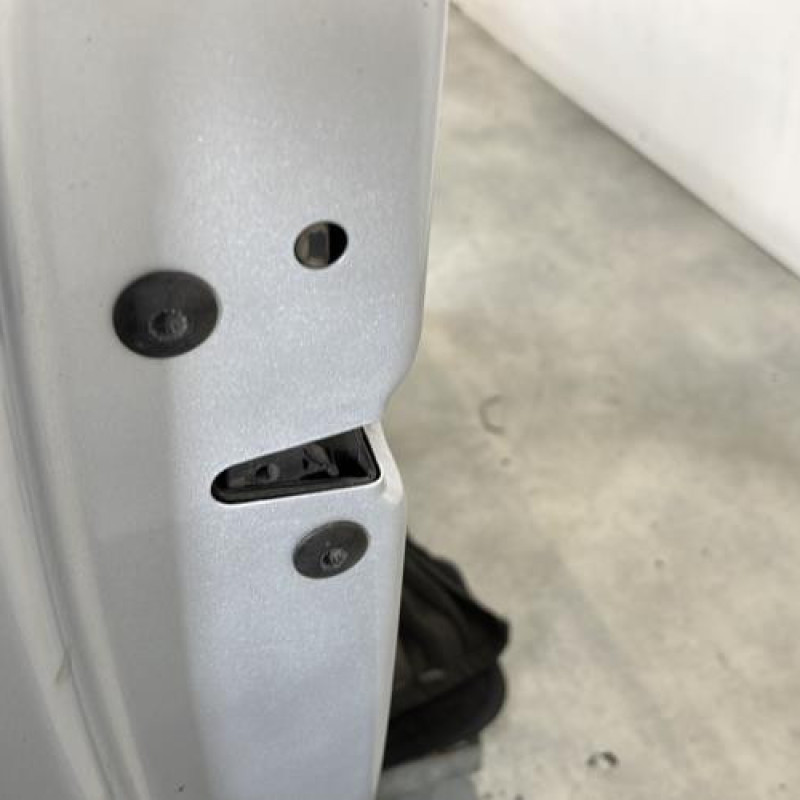 Porte avant gauche VOLKSWAGEN POLO 5 Photo n°3