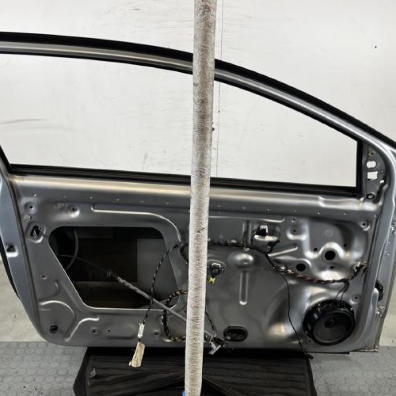 Porte avant gauche VOLKSWAGEN POLO 5 Photo n°7