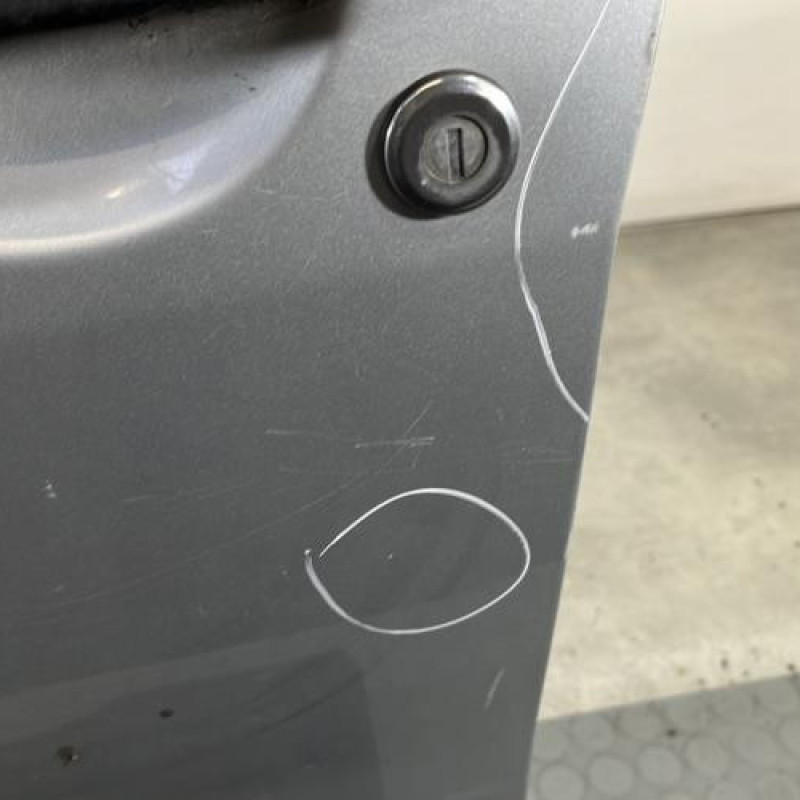 Porte avant gauche DACIA DUSTER 1 Photo n°3