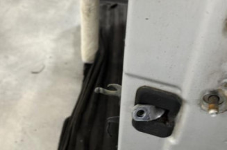 Porte avant gauche DACIA DUSTER 1