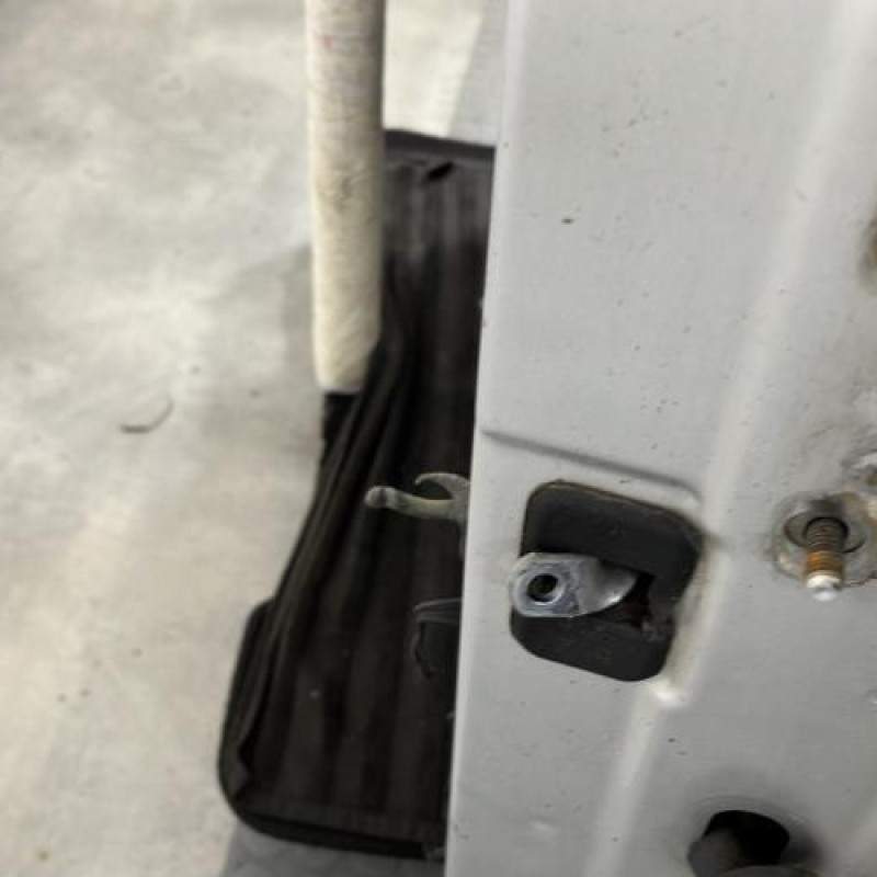 Porte avant gauche DACIA DUSTER 1 Photo n°4