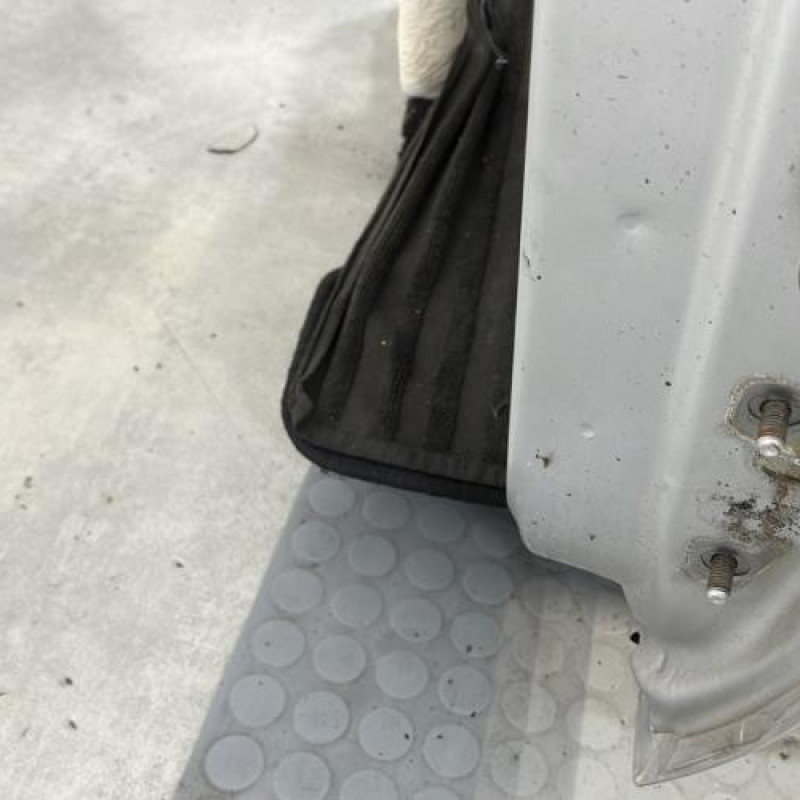 Porte avant gauche DACIA DUSTER 1 Photo n°5