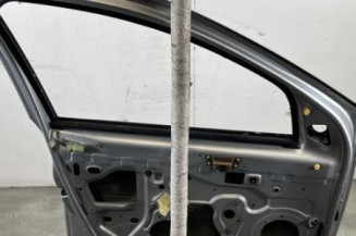 Porte avant gauche DACIA DUSTER 1