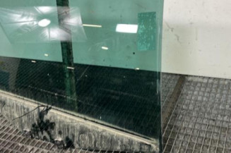 Vitre arriere droit CITROEN DS5