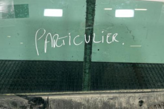 Vitre arriere gauche CITROEN DS5 Photo n°1