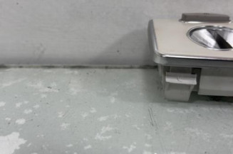 Eclairage de plafonnier RENAULT LAGUNA 3