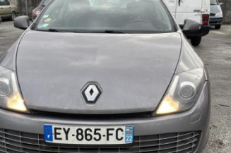 Eclairage de plafonnier RENAULT LAGUNA 3