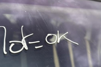 Eclairage de plafonnier RENAULT TRAFIC 2