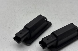 Eclairage de plaque PEUGEOT 208 1 Photo n°1