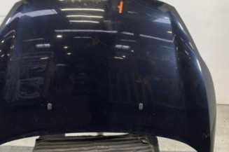 Capot FORD FIESTA 6 Photo n°1