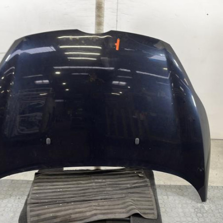 Capot FORD FIESTA 6 Photo n°1