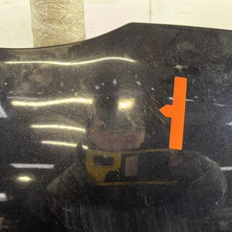 Capot FORD FIESTA 6 Photo n°2