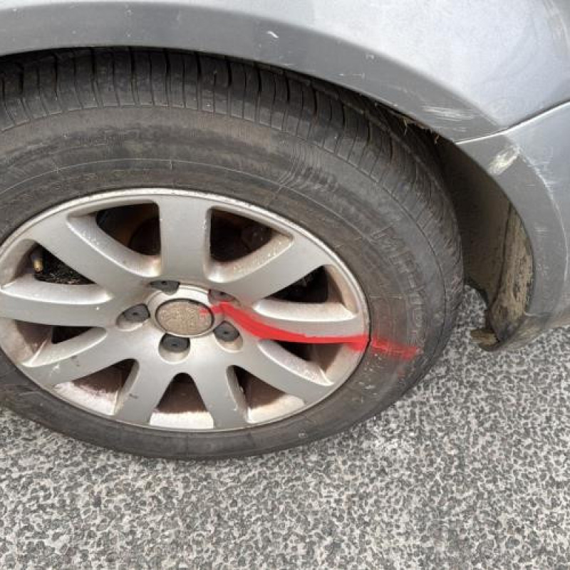 Calandre VOLKSWAGEN PASSAT 4 Photo n°18