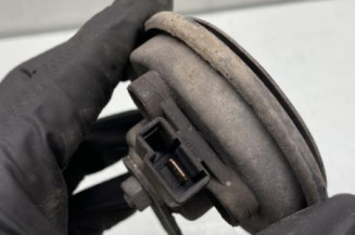 Avertisseur/Klaxon TOYOTA YARIS 2