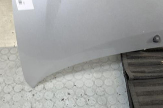 Capot RENAULT TWINGO 2