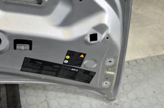 Capot RENAULT TWINGO 2