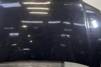 Capot VOLKSWAGEN TOURAN 1 Photo n°1