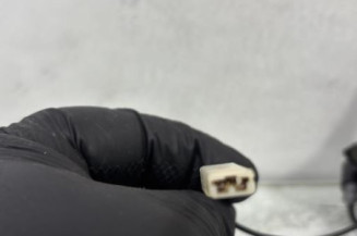 Antenne RENAULT MODUS