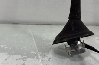 Antenne RENAULT CLIO 3