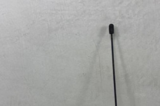 Antenne RENAULT KANGOO 1