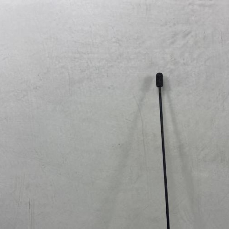 Antenne RENAULT KANGOO 1 Photo n°3