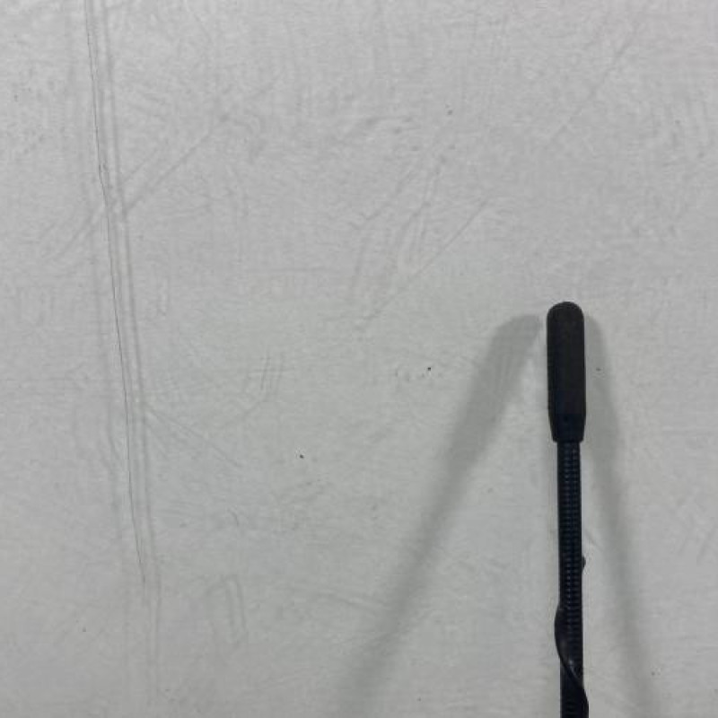 Antenne RENAULT CLIO 2 Photo n°3