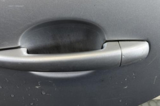 Porte arriere gauche PEUGEOT 207