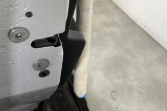 Porte arriere gauche PEUGEOT 207