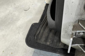 Porte arriere gauche PEUGEOT 207