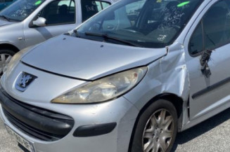 Porte arriere gauche PEUGEOT 207