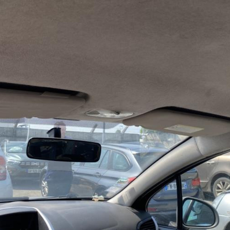 Porte arriere gauche PEUGEOT 207 Photo n°19