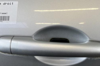 Porte arriere droit RENAULT LAGUNA 3