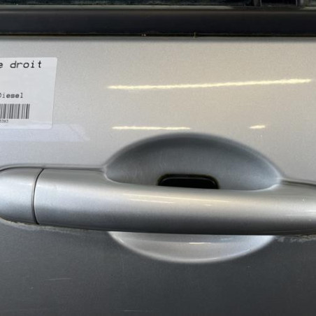 Porte arriere droit RENAULT LAGUNA 3