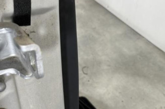 Porte arriere droit RENAULT LAGUNA 3