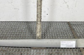 Baguette de porte arriere droite RENAULT SCENIC 2 Photo n°1