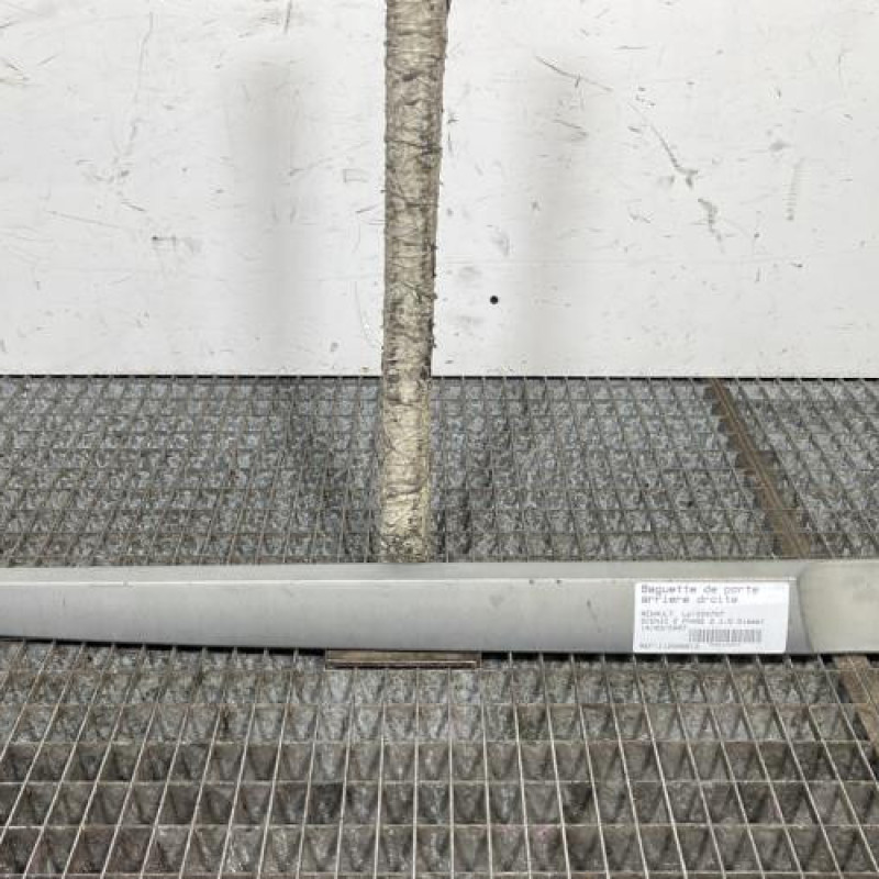 Baguette de porte arriere droite RENAULT SCENIC 2 Photo n°1