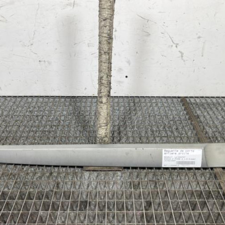 Baguette de porte arriere droite RENAULT SCENIC 2 Photo n°1