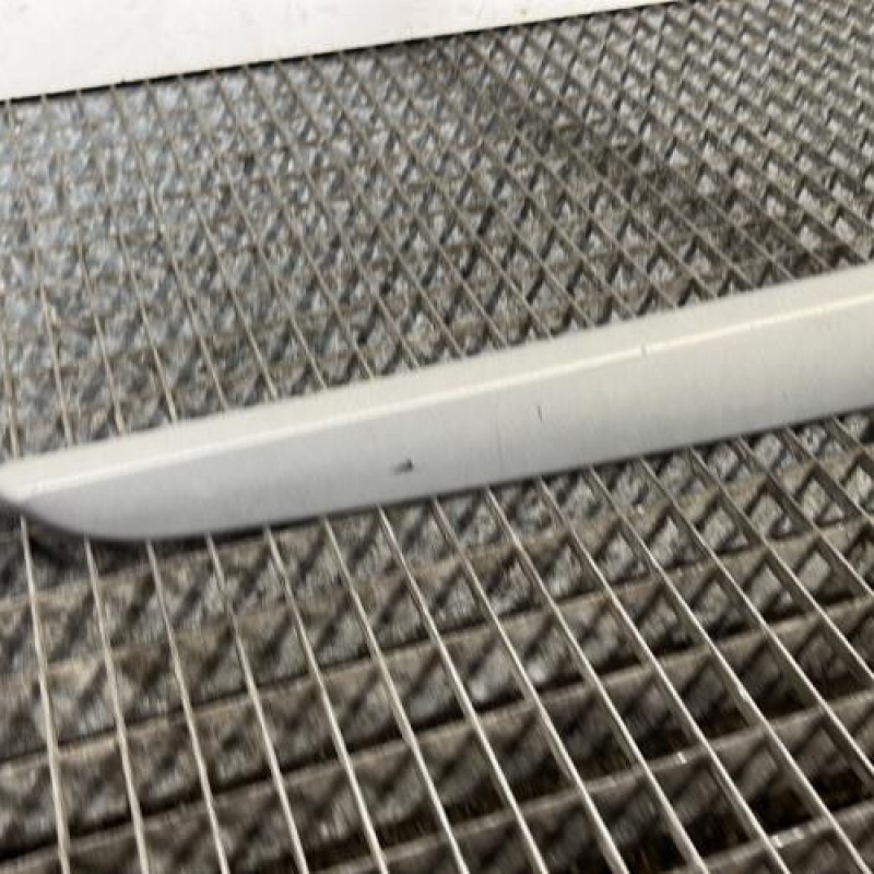 Baguette de porte arriere droite RENAULT SCENIC 2 Photo n°2