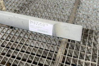 Baguette de porte arriere droite RENAULT SCENIC 2