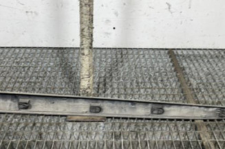 Baguette de porte arriere droite RENAULT SCENIC 2