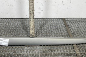 Baguette de porte arriere gauche  RENAULT SCENIC 2 Photo n°1