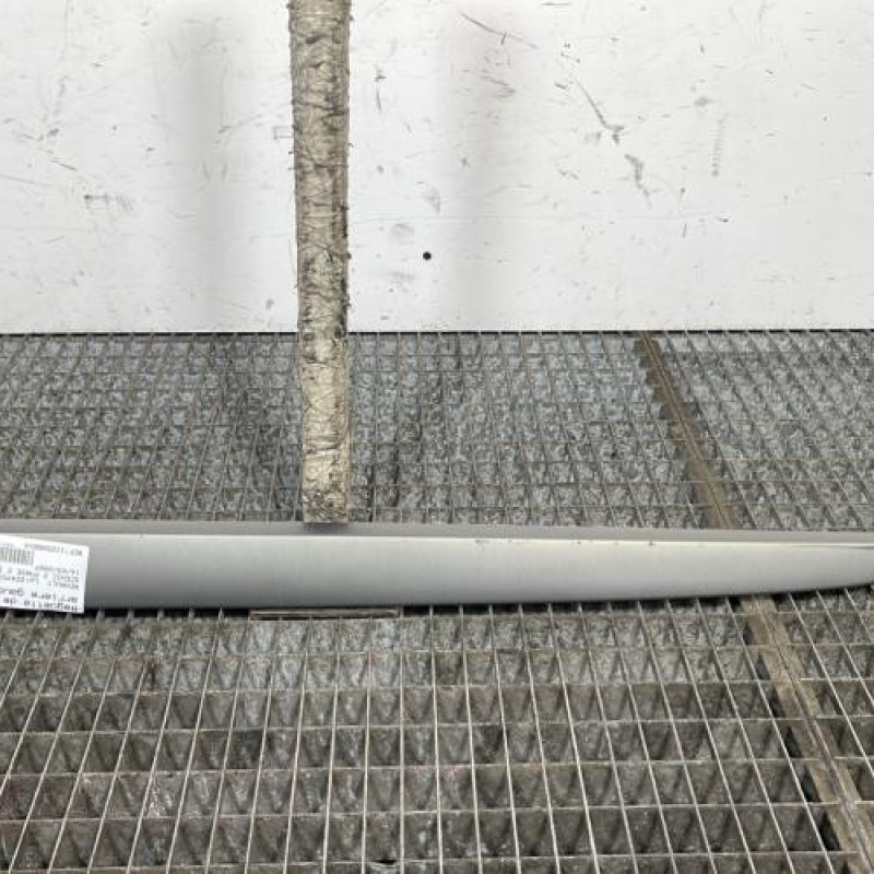 Baguette de porte arriere gauche  RENAULT SCENIC 2 Photo n°1