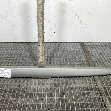 Baguette de porte arriere gauche  RENAULT SCENIC 2 Photo n°1